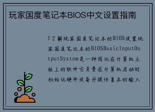 玩家国度笔记本BIOS中文设置指南